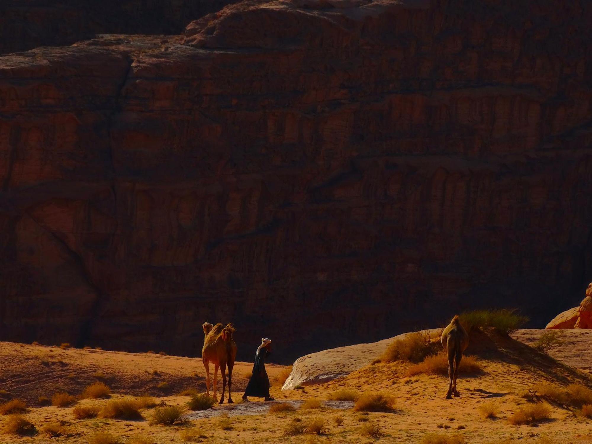 Wadi Rum View Camp 외부 사진