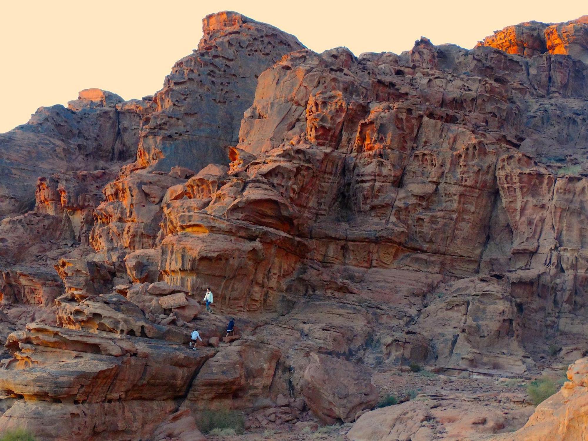 Wadi Rum View Camp 외부 사진