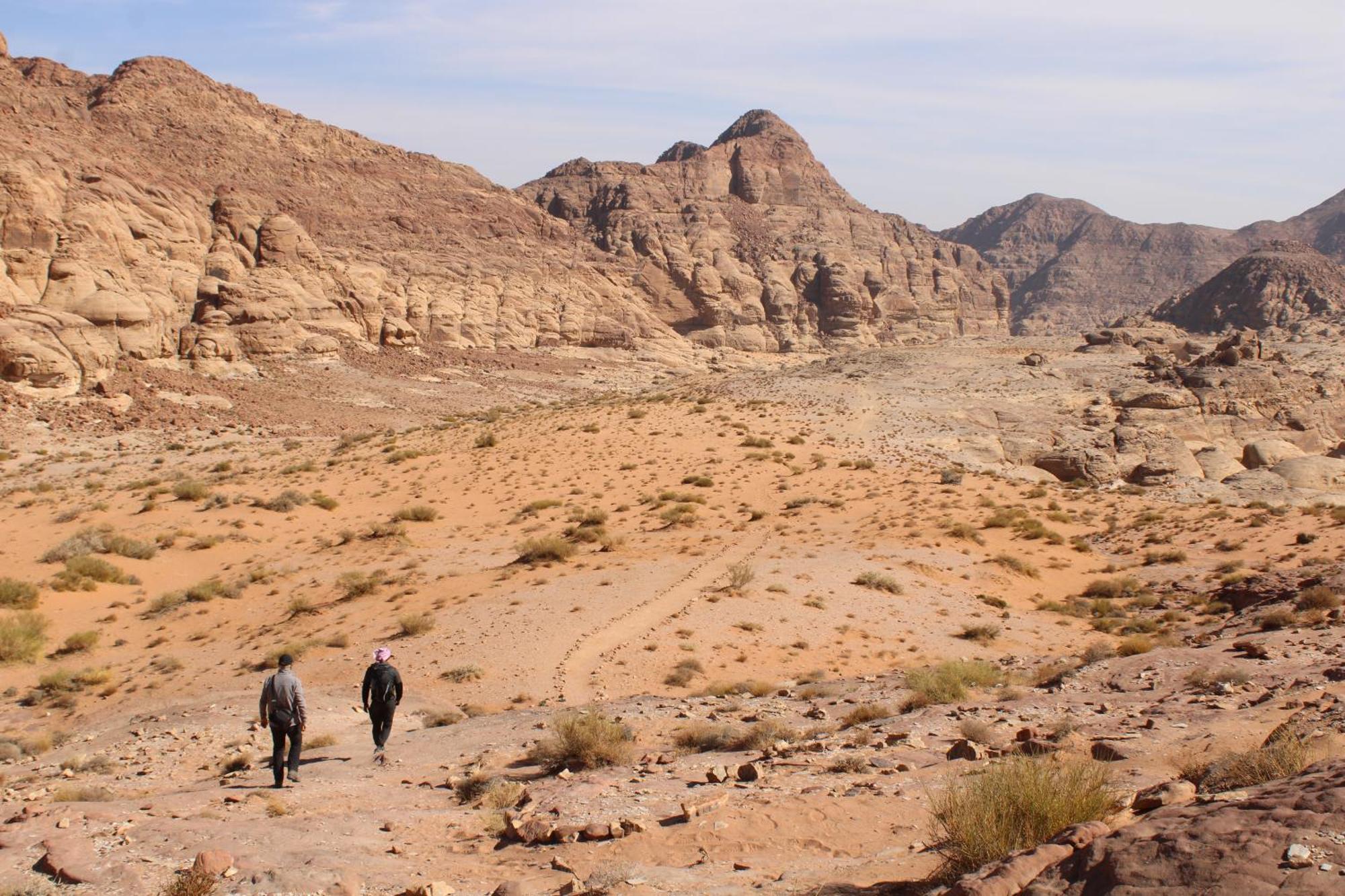 Wadi Rum View Camp 외부 사진